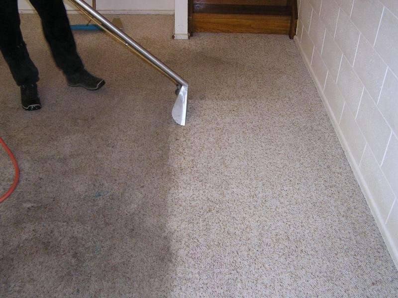 wet carpet drying